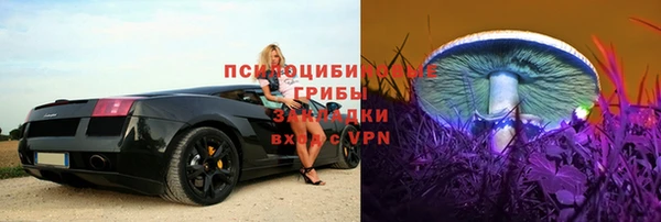трава Горно-Алтайск