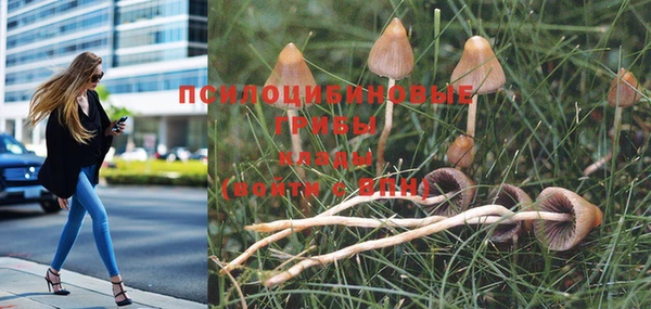 mdma Горняк