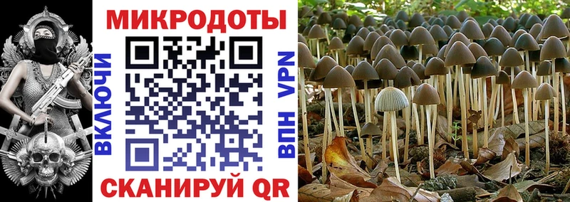 Купить  Владикавказ  Галлюциногенные грибы Psilocybe 